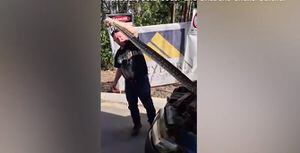 Homem captura grande píton escondida em carro e vídeo impressiona as redes sociais