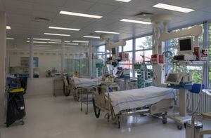 16 hospitalizaciones adicionales por COVID en 24 horas