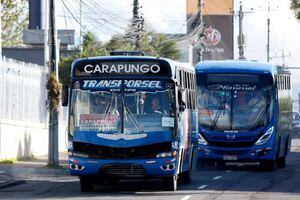 Transporte público en Quito seguirá operando con el 50% de su capacidad