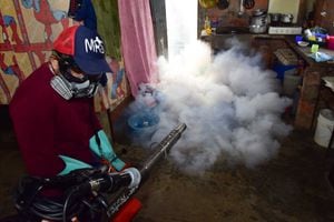 Brigadas médicas, fumigación y toldos para prevenir enfermedades en Pedro Carbo