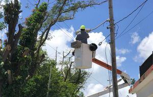 AEE: Más de 6 mil clientes se mantienen sin electricidad