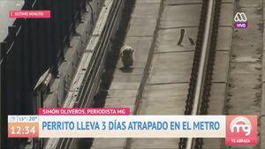 Perrito lleva 3 días atrapado en el metro