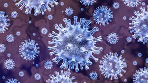 Coronavirus: desmintiendo las fake news acerca del contagio