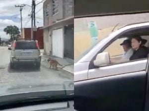 "A este perrito lo llevan jalando", carro en movimiento arrastra a cachorro en Hidalgo