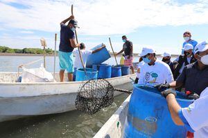 Más de tres toneladas de basura son recolectadas en Puerto San José