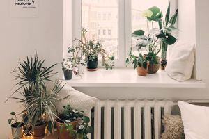 Ideas inspiradas en la naturaleza para decorar tu hogar
