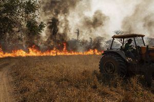 Incêndio no Pantanal tomou 'proporção gigantesca', admite Salles