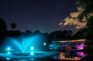El Jardín Botánico abrirá sus puertas gratis de noche
