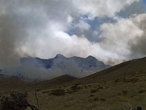 Lucha por apagar el fuego: Impactantes imágenes del incendio en Mojanda