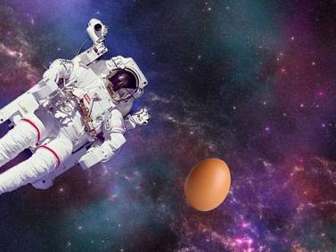 Exingeniero de la NASA lanza un huevo desde el espacio y cae intacto en la Tierra