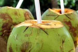 El agua de coco previene el cáncer y retrasar el envejecimiento, según investigación