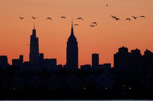 Cientos de aves se estrellaron contra los rascacielos de Nueva York, Estados Unidos