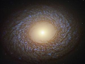 Universo: la NASA captó una galaxia "emplumada" a 67 millones de años luz de la Tierra
