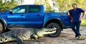 Aventureiro registra momento impressionante em que crocodilo é alimentado na Austrália