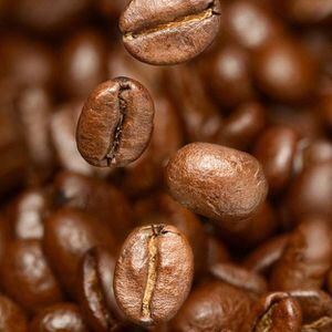 Café cultivado por excombatientes de las Farc recibe premio ante la ONU