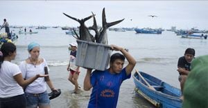 UE insta a aprobar ley de pesca para esquivar tarjeta roja al atún de Ecuador