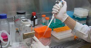 Pesquisadores desenvolvem testes rápidos para diagnóstico de covid-19