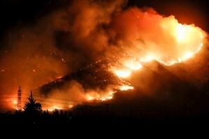 Veranos incandescentes: en 40 años la cantidad de incendios aumentó casi un 20% en Chile