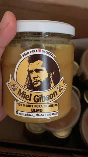 La amargura de "Miel Gibson": a emprendedora chilena le llegó demanda del actor por uso de imagen y nombre