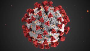 El freno de la pandemia aún no se debe a las vacunaciones, asegura la OMS