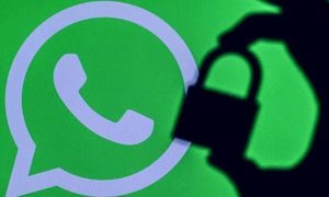WhatsApp: cinco trucos que evitarán se roben tu información