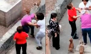 Inhumano: Mujer golpea brutalmente a una abuela y hasta patea a su perro, el video se viraliza