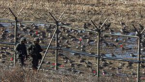 La inusual deserción de un soldado Corea del Norte que escapó al Sur por la Zona Desmilitarizada, una de las fronteras más custodiadas del mundo
