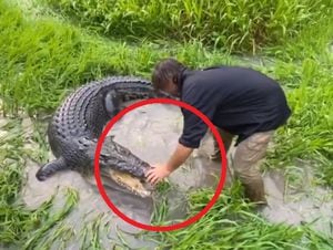 Vídeo surpreendente mostra como homem controla enorme crocodilo apenas com as mãos; assista