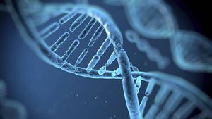 CRISPR: científicos chinos habrían creado bebés genéticamente modificados