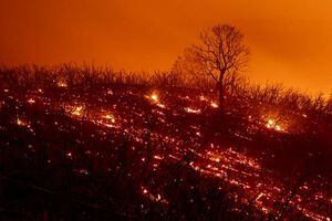 FOTOS. Los incendios en California, un infierno sin control