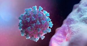 Covid-19: Cientistas descobrem dois casos de infecção dupla com variantes diferentes