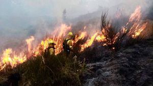 ¡El cerro Ilaló en llamas! Bomberos combaten el incendio