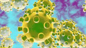 Coronavirus: ¿cuántas fases puede tener una pandemia y qué significan?
