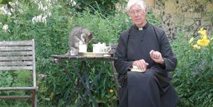 Momento de ternura: gatito le toma la leche a reverendo de Canterbury en transmisión de discurso