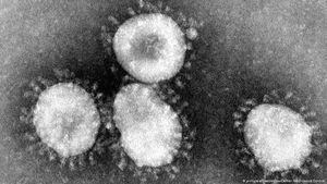 Coronavírus: Médicos conseguem isolar vírus para estudos