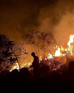 El incendio de la Amazonía, uno de los más devastadores junto al de 1998