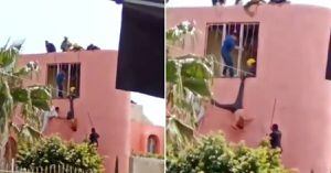 (VIDEO) Ladrón quedó colgado mientras escapaba y la policía lo "usó" como piñata