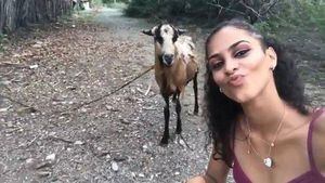 Ela só queria tirar uma selfie com a cabra, mas o resultado não foi o esperado; confira o vídeo