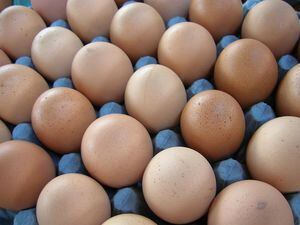 Denuncia que venta de huevos extranjeros desplaza el local