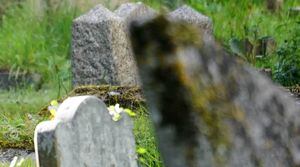 COE Nacional exhorta a municipios el cierre de cementerios por el feriado del Día de los Difuntos
