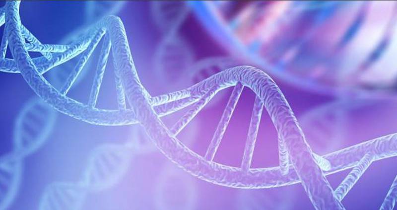 A traves del ADN logran identificar una victima 65 años depues | Foto: Referencial