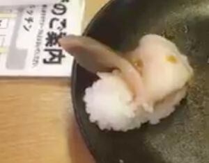 “La tragedia de sushiro”: el video que muestra a un “sushi vivo” que está enloqueciendo a las redes sociales