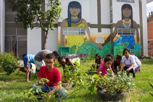 Orgullo nacional: Cali tiene la mejor ‘biblioteca verde’ del mundo
