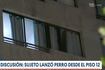 Sujeto lanzó perro del piso 12 de edificio del centro de Santiago en medio de discusión con su pareja