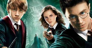 ¡Gracias, Netflix! La mega sorpresa para los fans de Harry Potter