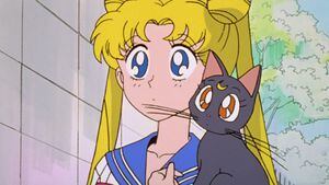 Sailor Moon: Artista y su gato logran el mejor cosplay bodypaint de Usagi y Luna