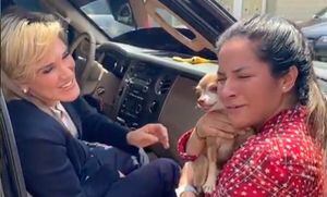 'Junior Benjamín' un perrito que fue encontrado por Cynthia Viteri ya se encuentra con su dueña