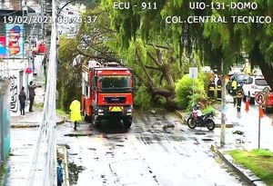 La caída de un árbol obstaculiza la circulación vehicular en la avenida Gaspar de Villarroel, sector Jipijapa