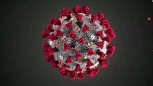 Coronavirus: ¿cómo se hizo la vacuna de Pfizer y cómo funciona?