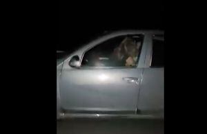 Graban a conductor teniendo sexo en plena ruta mientras maneja en Argentina: el final del video es épico
